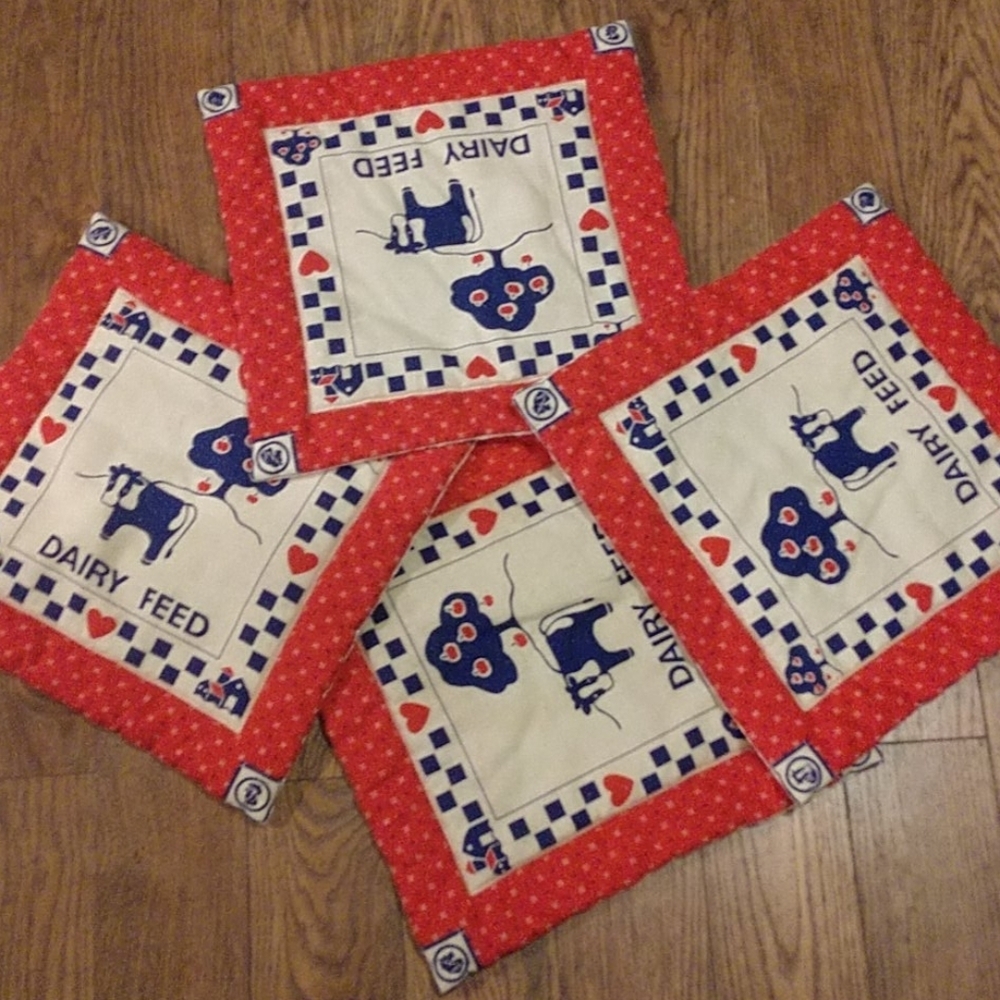 Set of 4 placemats/hot pads